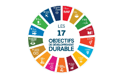 Comprendre les objectifs des nations unies pour le développement durable